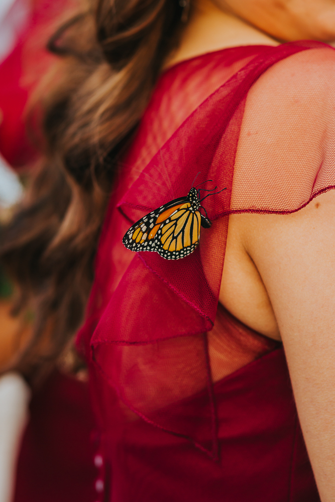 Butterfly bridesmaid