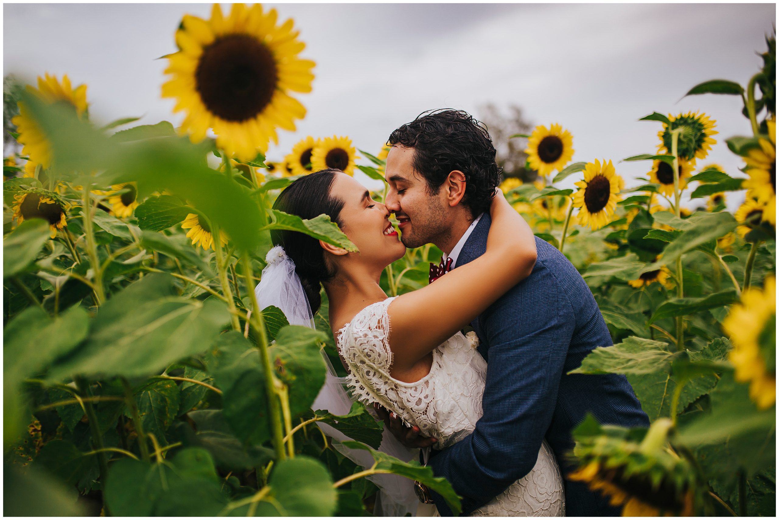 couple kisses in sunflower field